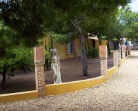 Venta - Finca / Country Property - Ciudad Quesada - Lo Pepin