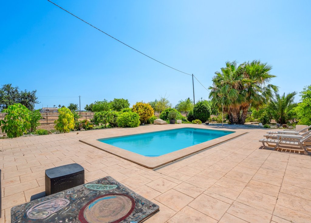 Venta - Finca / Country Property - Elche/Elx - Elche