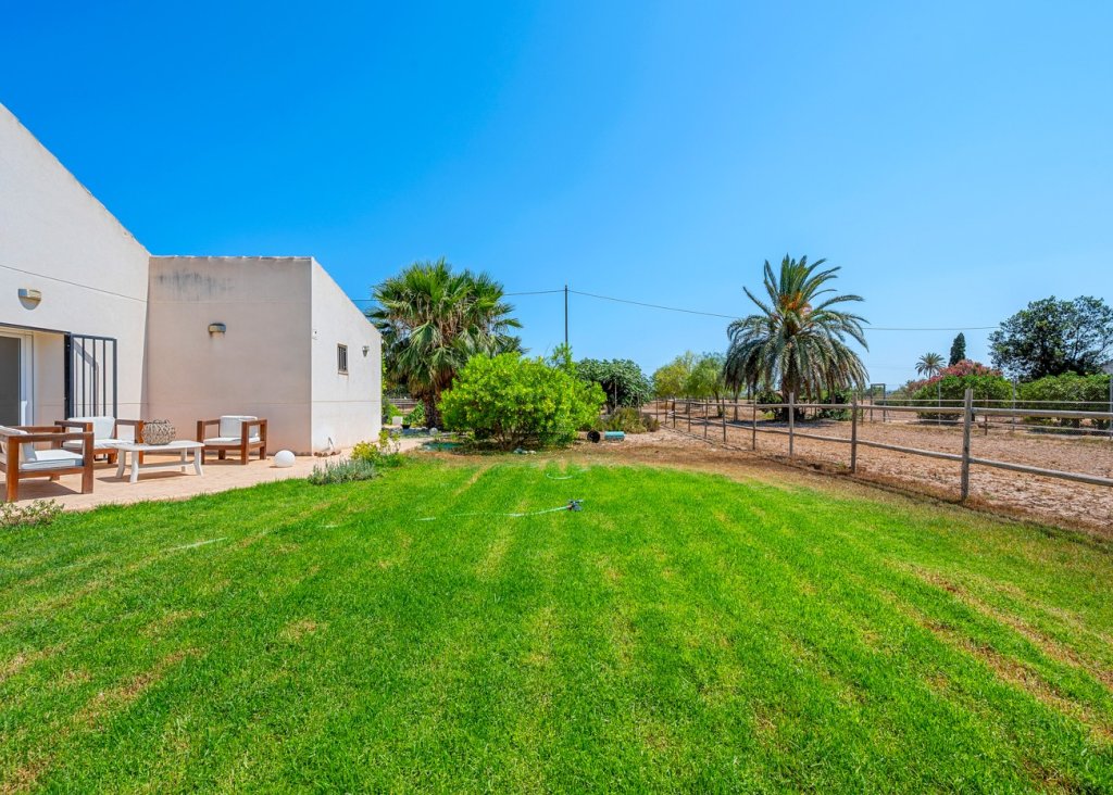 Venta - Finca / Country Property - Elche/Elx - Elche