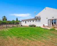 Venta - Finca / Country Property - Elche/Elx - Elche