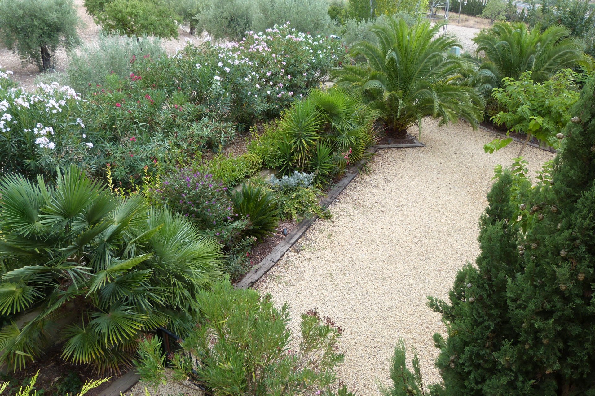 Venta - Finca / Country Property - Ibi - Ibi - Country