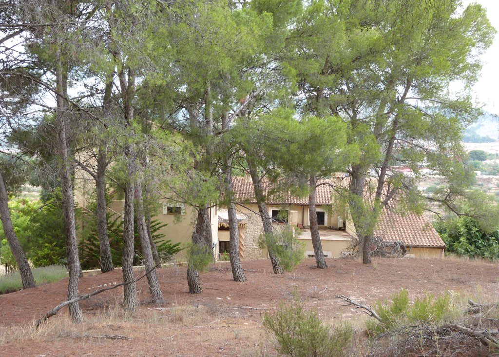 Venta - Finca / Country Property - Ibi - Ibi - Country