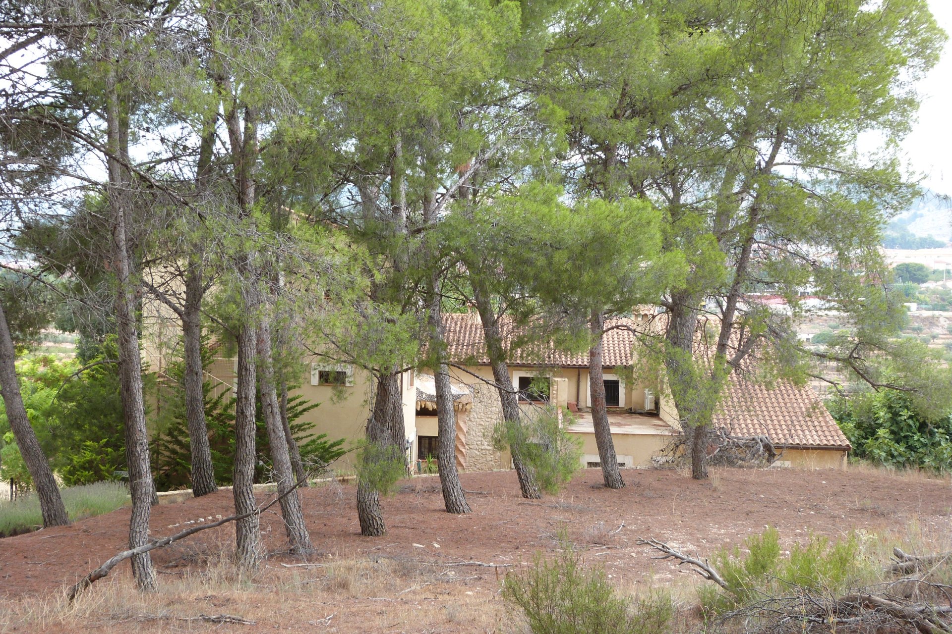 Venta - Finca / Country Property - Ibi - Ibi - Country