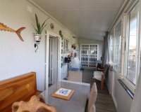 Venta - Finca / Country Property - Orihuela - La Campaneta