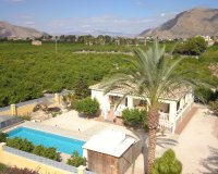 Venta - Finca / Country Property - Orihuela - La Campaneta