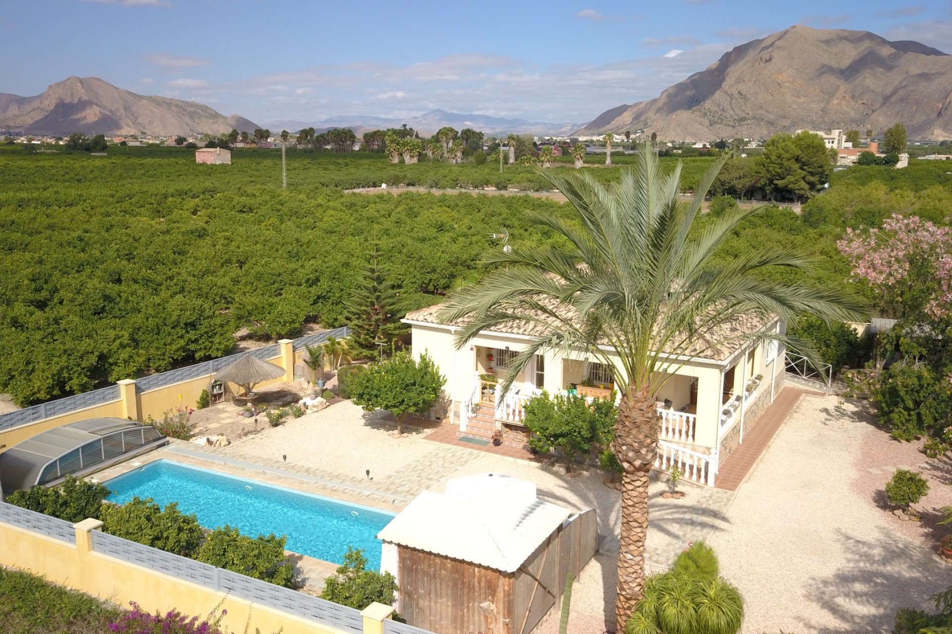 Venta - Finca / Country Property - Orihuela - La Campaneta