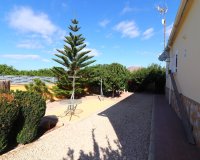 Venta - Finca / Country Property - Orihuela - La Campaneta