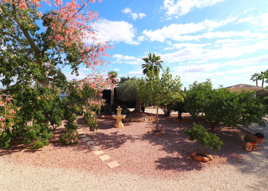 Venta - Finca / Country Property - Orihuela - La Campaneta