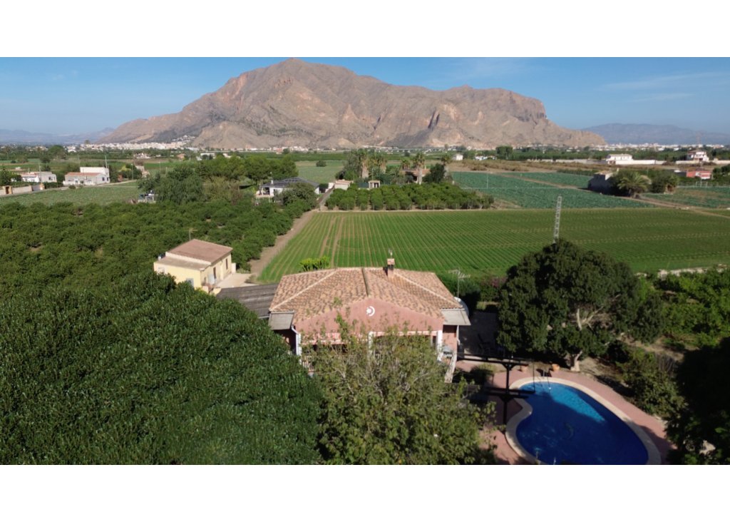 Venta - Finca / Country Property - Orihuela - San Bartolome