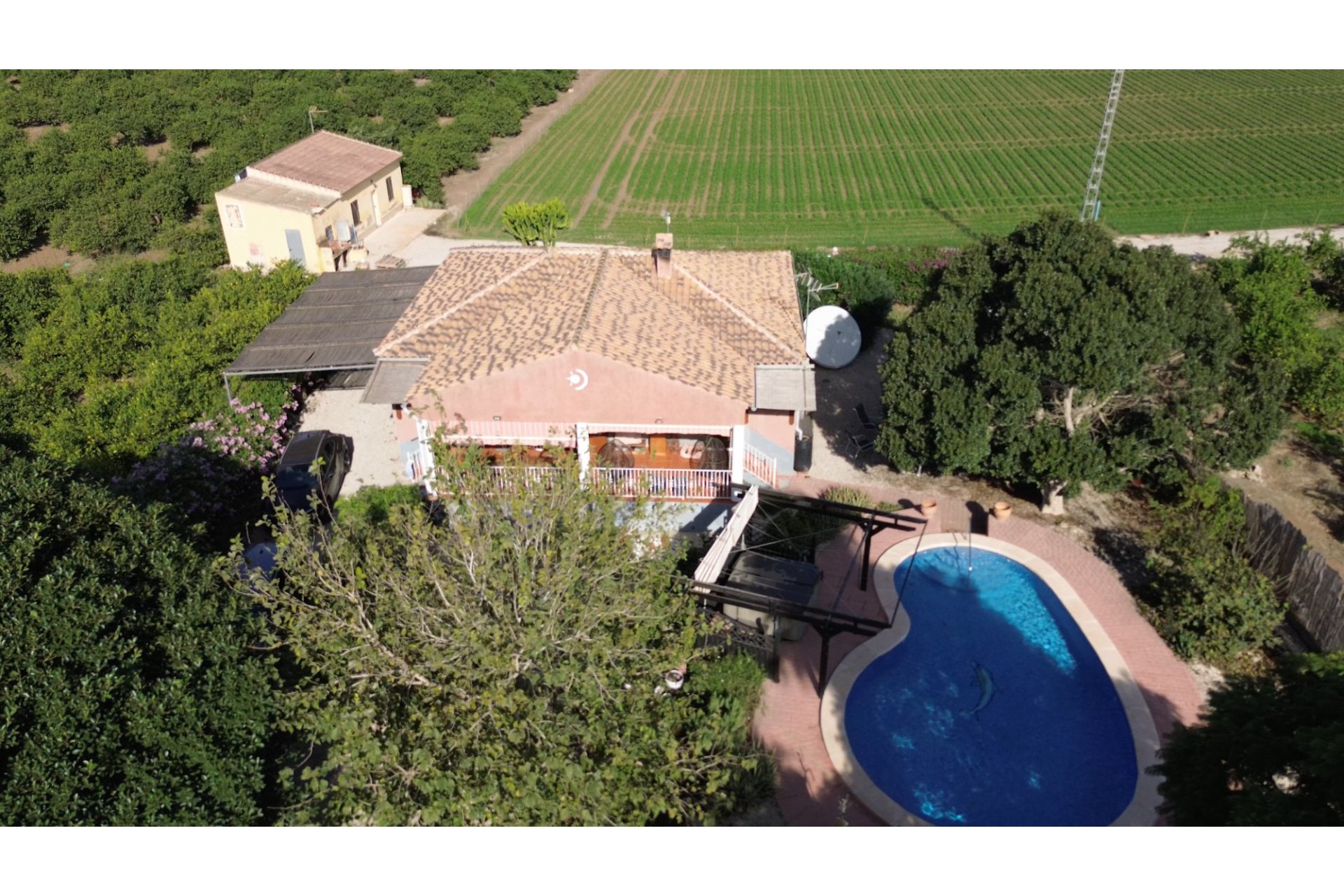 Venta - Finca / Country Property - Orihuela - San Bartolome