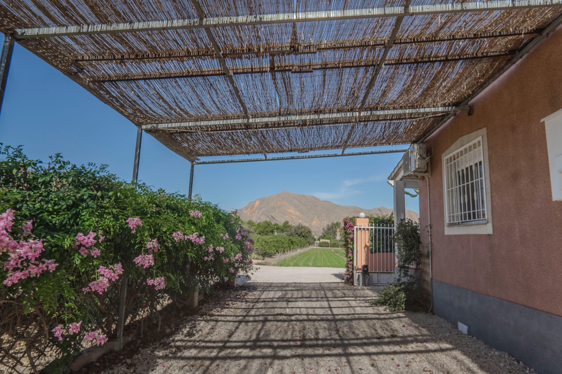 Venta - Finca / Country Property - Orihuela - San Bartolome