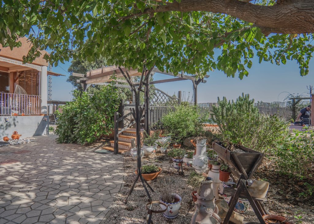 Venta - Finca / Country Property - Orihuela - San Bartolome