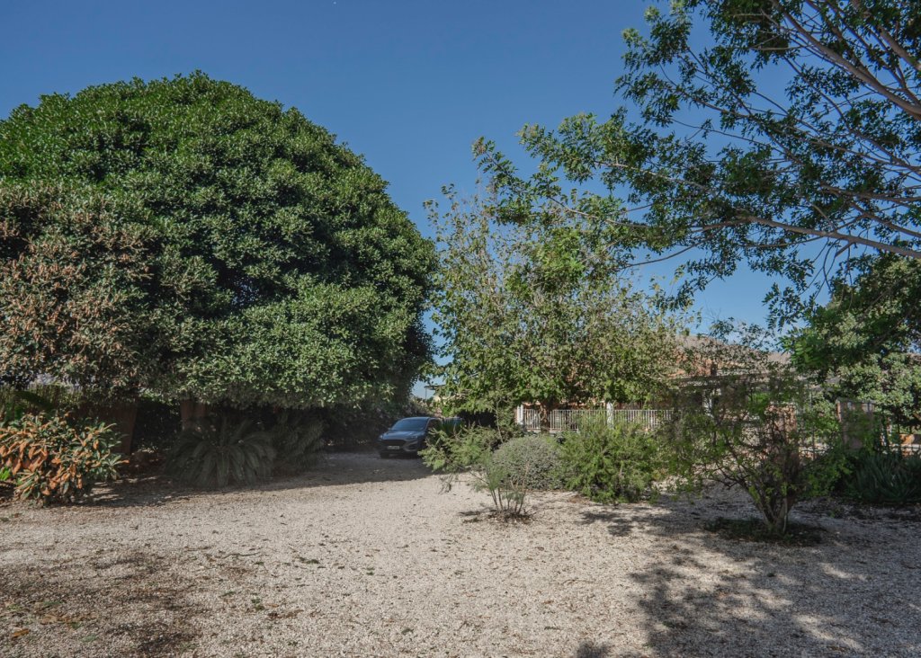 Venta - Finca / Country Property - Orihuela - San Bartolome