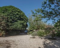 Venta - Finca / Country Property - Orihuela - San Bartolome