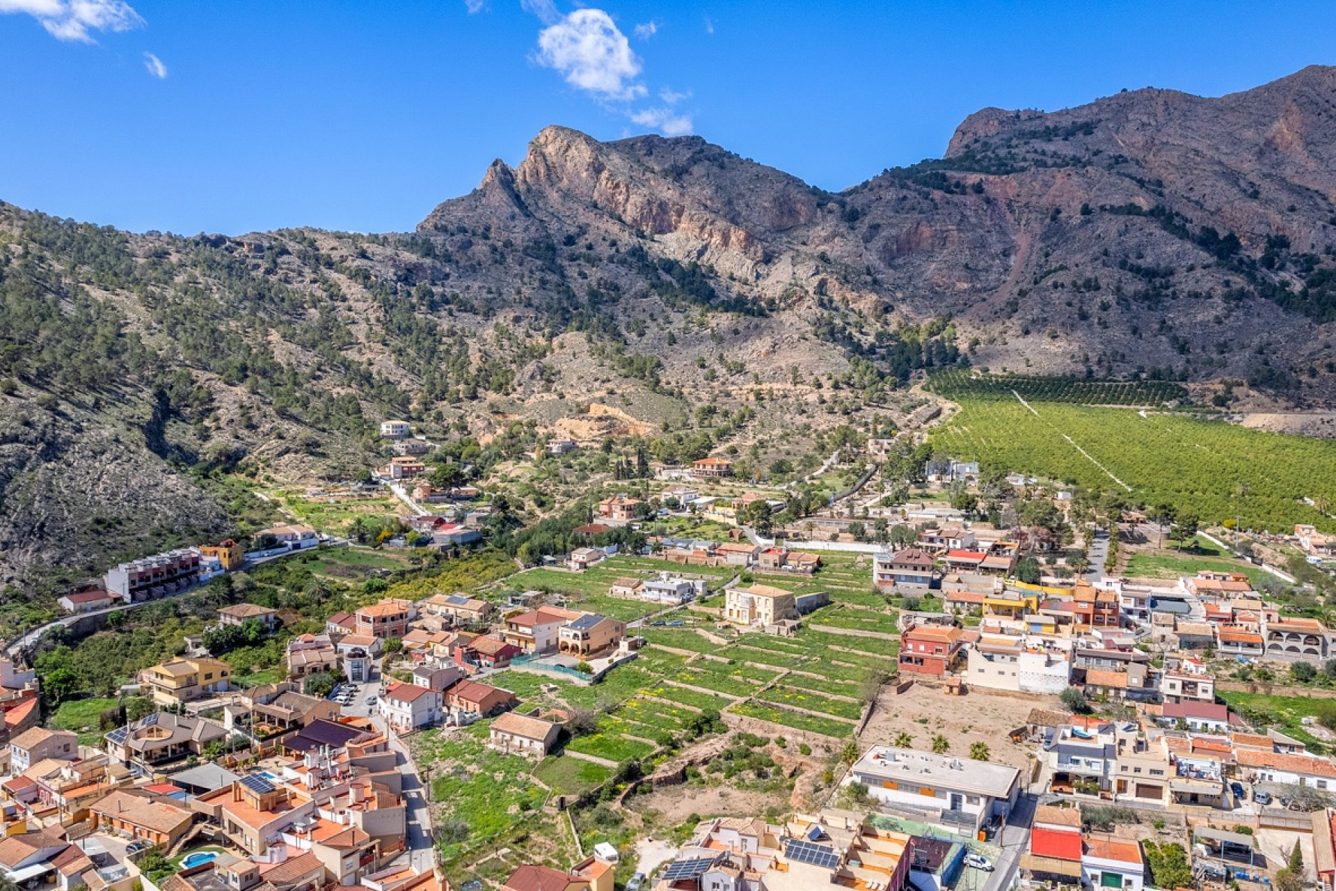 Venta - Finca / Country Property - Orihuela