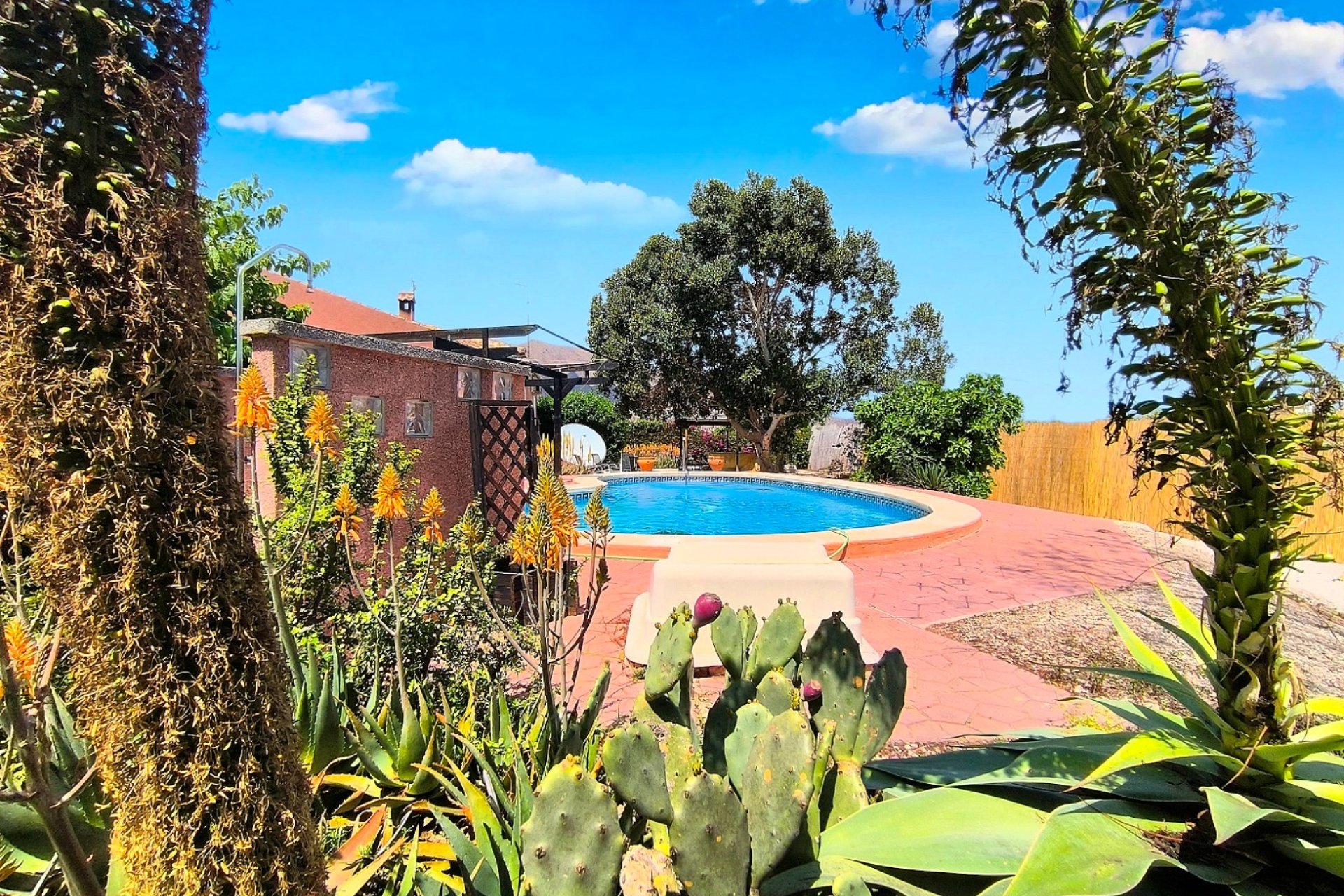 Venta - Finca / Country Property - Orihuela