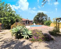 Venta - Finca / Country Property - Orihuela