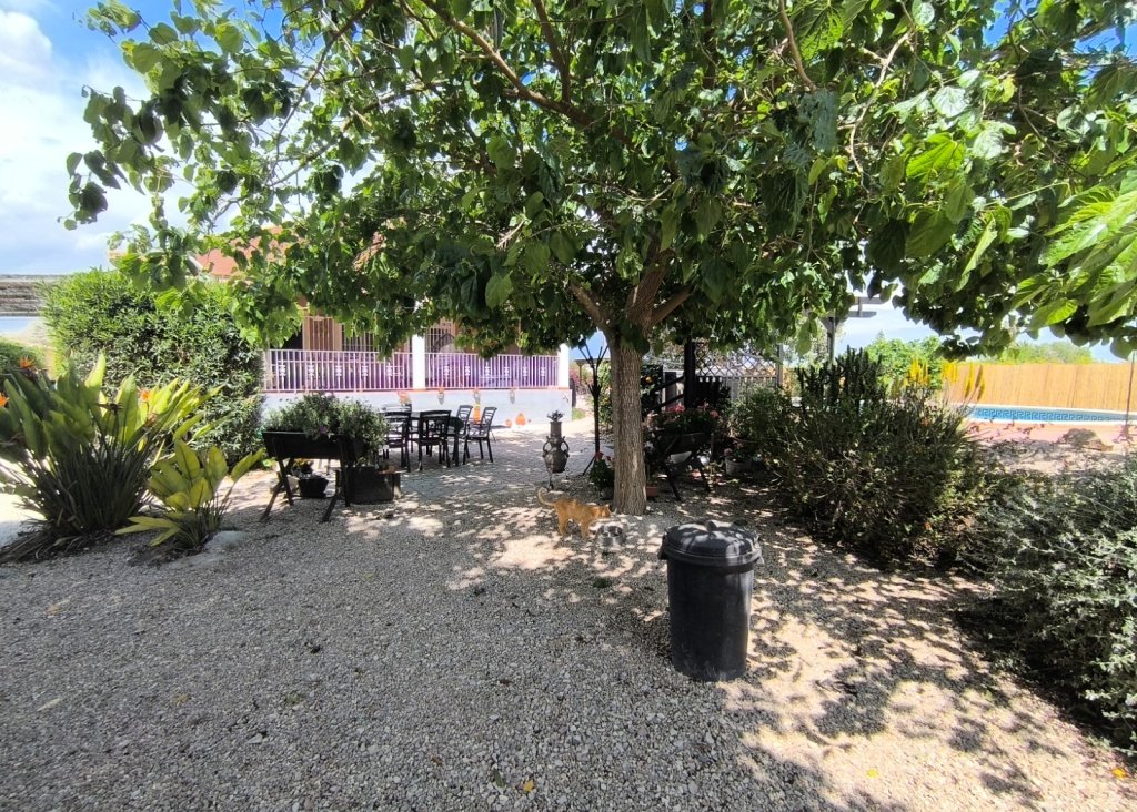 Venta - Finca / Country Property - Orihuela