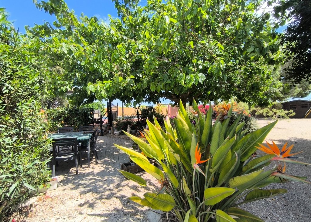 Venta - Finca / Country Property - Orihuela