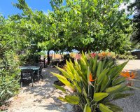 Venta - Finca / Country Property - Orihuela