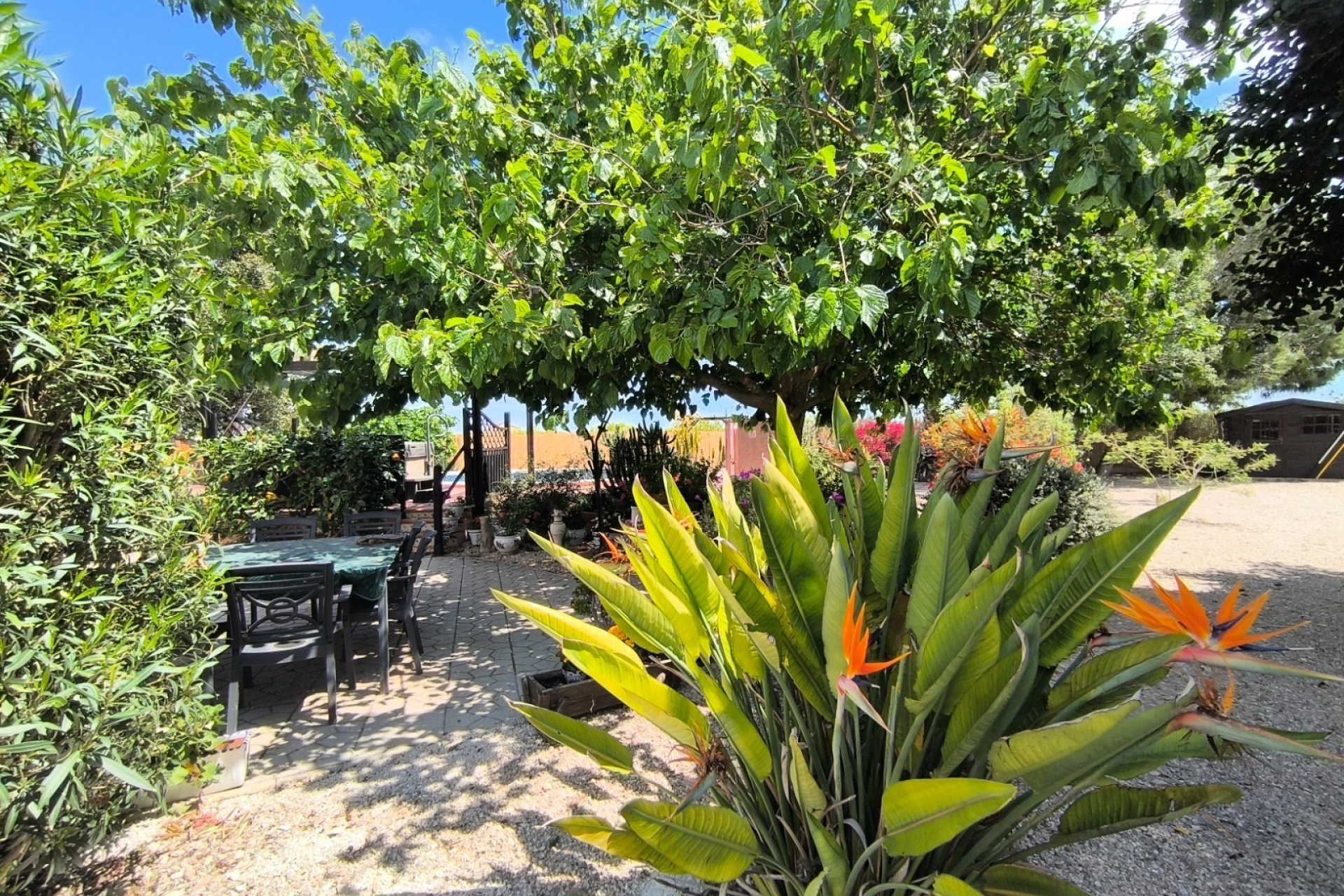 Venta - Finca / Country Property - Orihuela