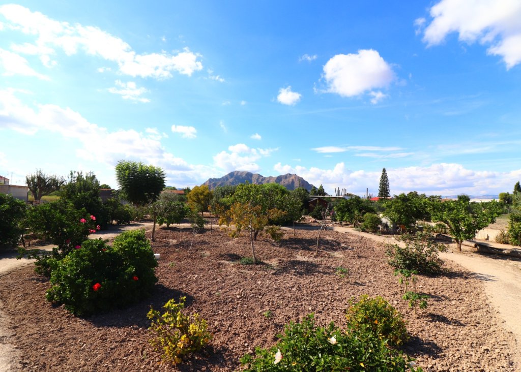 Venta - Finca / Country Property - Rafal - El Mudamiento