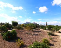 Venta - Finca / Country Property - Rafal - El Mudamiento
