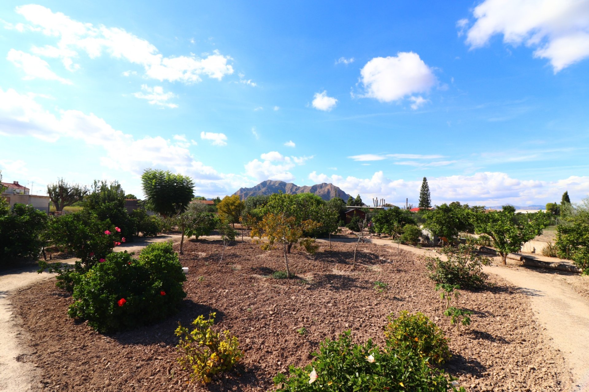Venta - Finca / Country Property - Rafal - El Mudamiento