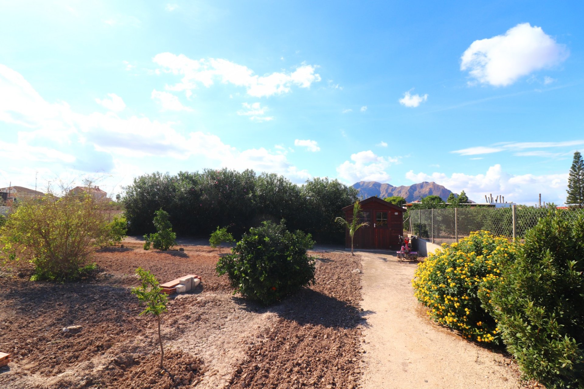 Venta - Finca / Country Property - Rafal - El Mudamiento