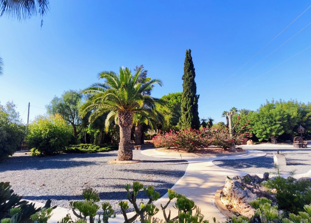 Venta - Finca / Country Property - San Miguel de Salinas