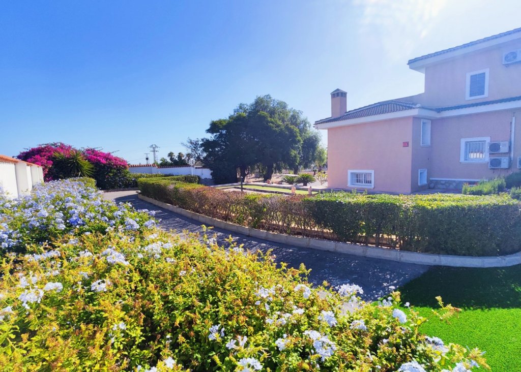 Venta - Finca / Country Property - San Miguel de Salinas
