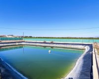 Venta - Finca / Country Property - San Miguel de Salinas