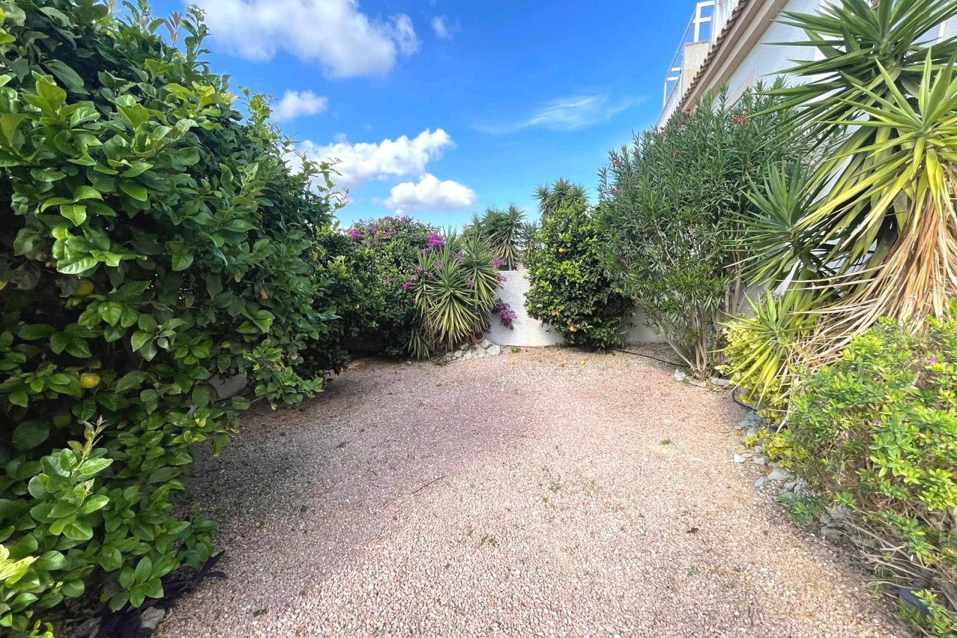 Venta - Quad - Ciudad Quesada - Rojales