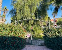 Venta - Terraced house / Townhouse - Benijófar