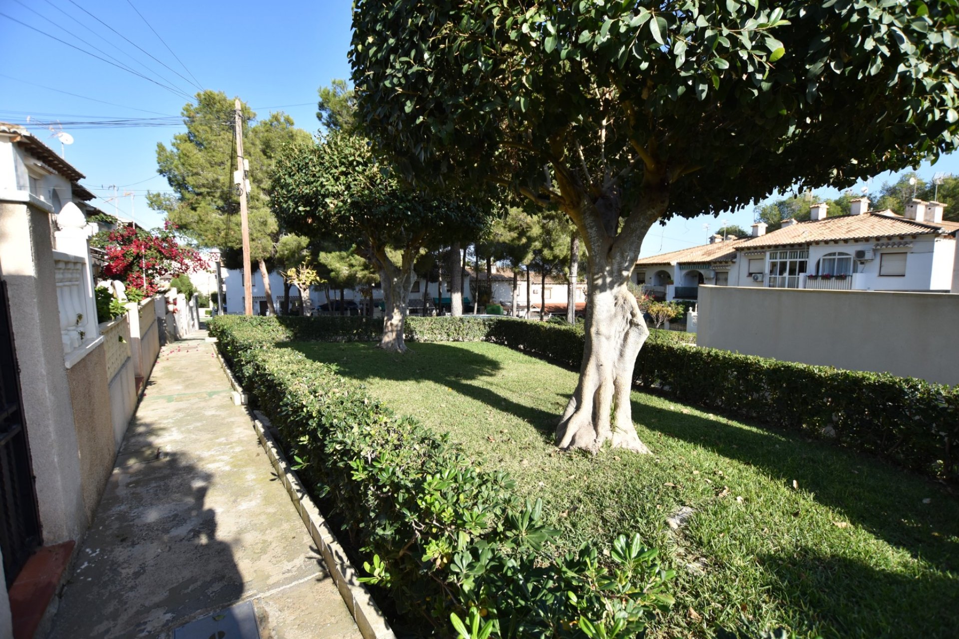 Venta - Terraced house / Townhouse - Torrevieja - Lago Jardín II