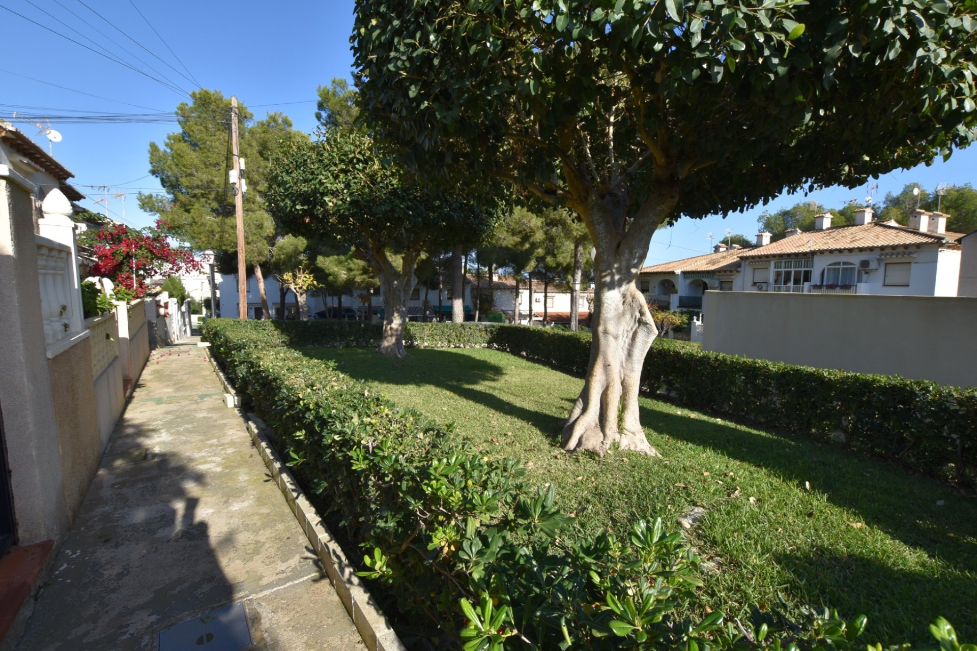 Venta - Terraced house / Townhouse - Torrevieja - Lago Jardín II