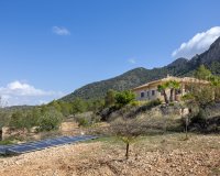 Venta - Villa - Detached - La Zarza - La Zarza Murcia