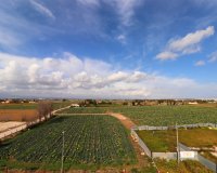 Verkoop - Apartment - Flat - Daya Vieja - Daya Vieja - Town