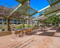 Verkoop - Apartment - Flat - Denia - Puerto