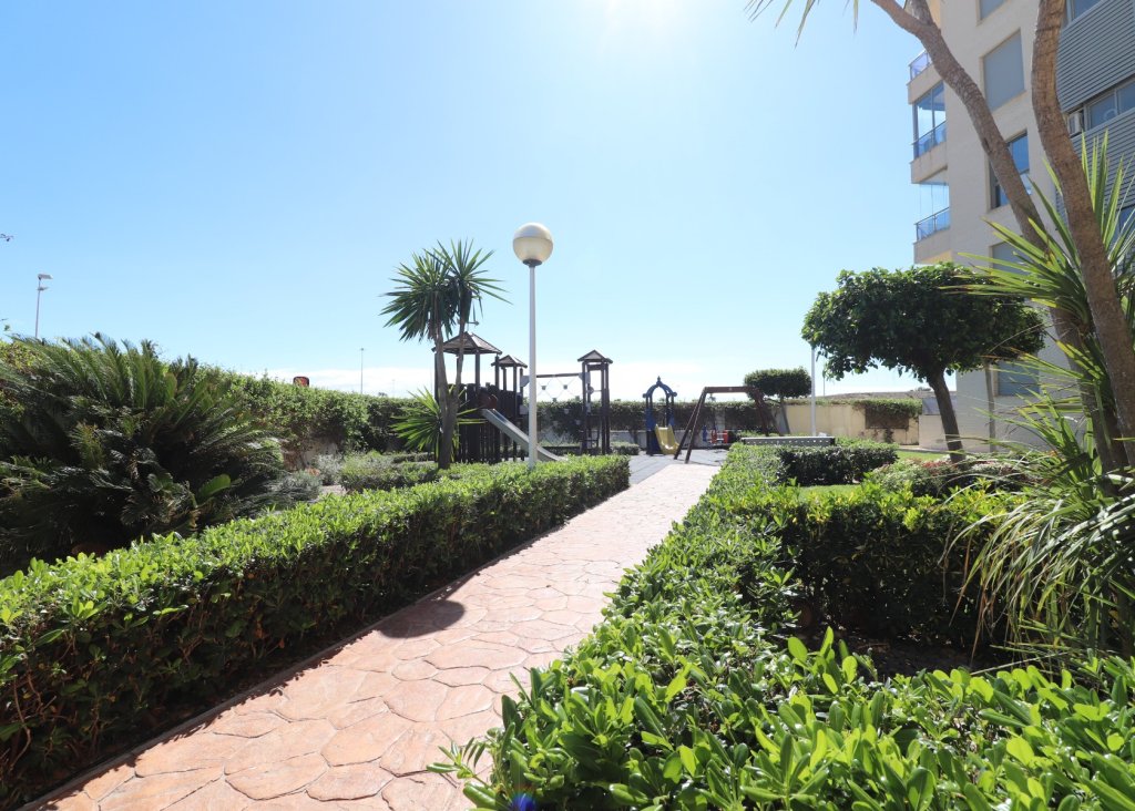 Verkoop - Apartment - Flat - Guardamar del Segura - Guardamar del Segura - Town