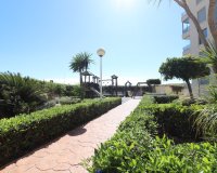 Verkoop - Apartment - Flat - Guardamar del Segura - Guardamar del Segura - Town