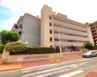Verkoop - Apartment - Flat - Guardamar del Segura - Guardamar del Segura - Town