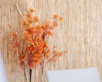 Verkoop - Apartment - Flat - Punta Prima