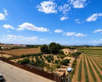 Verkoop - Apartment - Flat - Rojales - Los Palacios