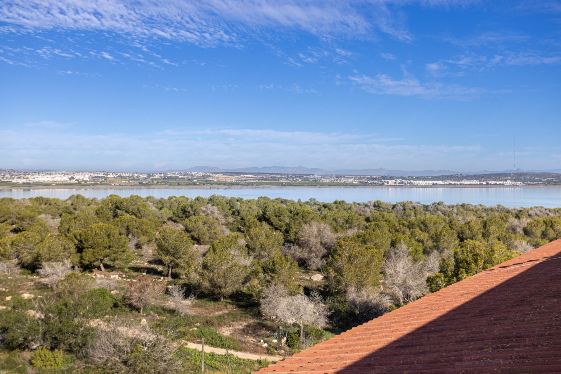 Verkoop - Apartment - Flat - Torrevieja - La Siesta