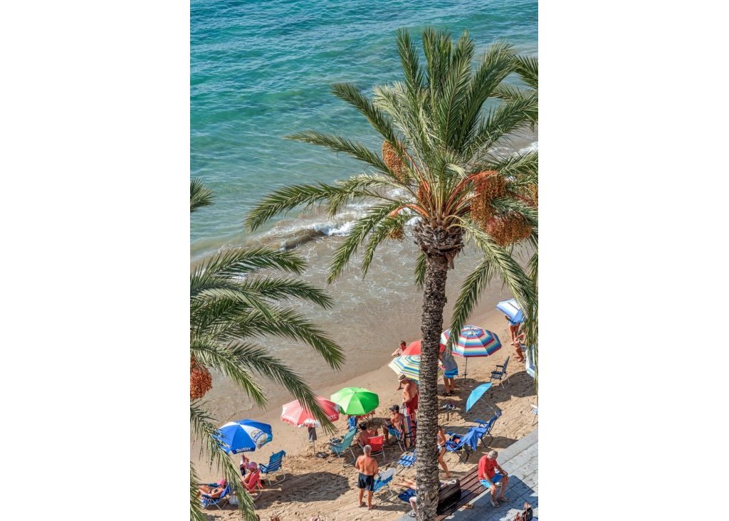 Verkoop - Apartment - Flat - Torrevieja