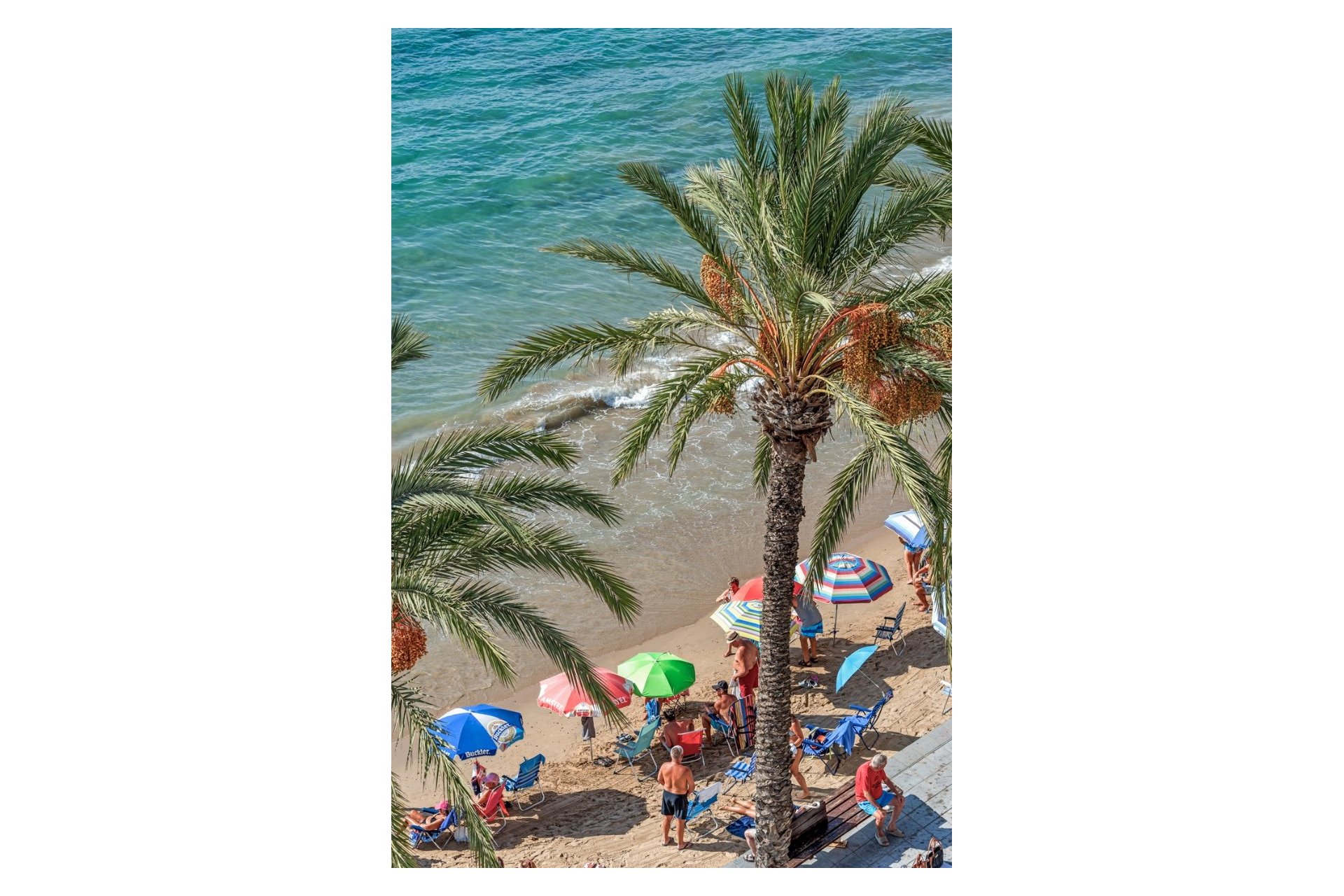 Verkoop - Apartment - Flat - Torrevieja