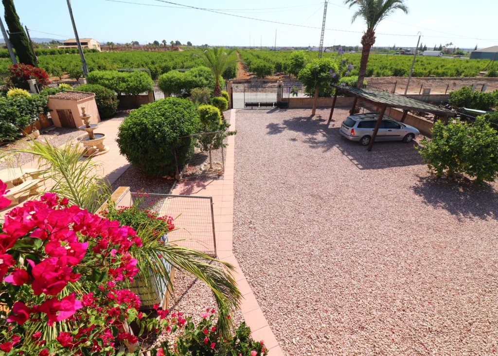 Verkoop - Finca / Country Property - Albatera - Albatera - Country
