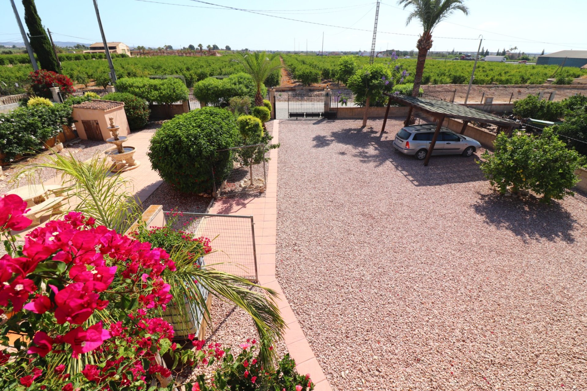 Verkoop - Finca / Country Property - Albatera - Albatera - Country