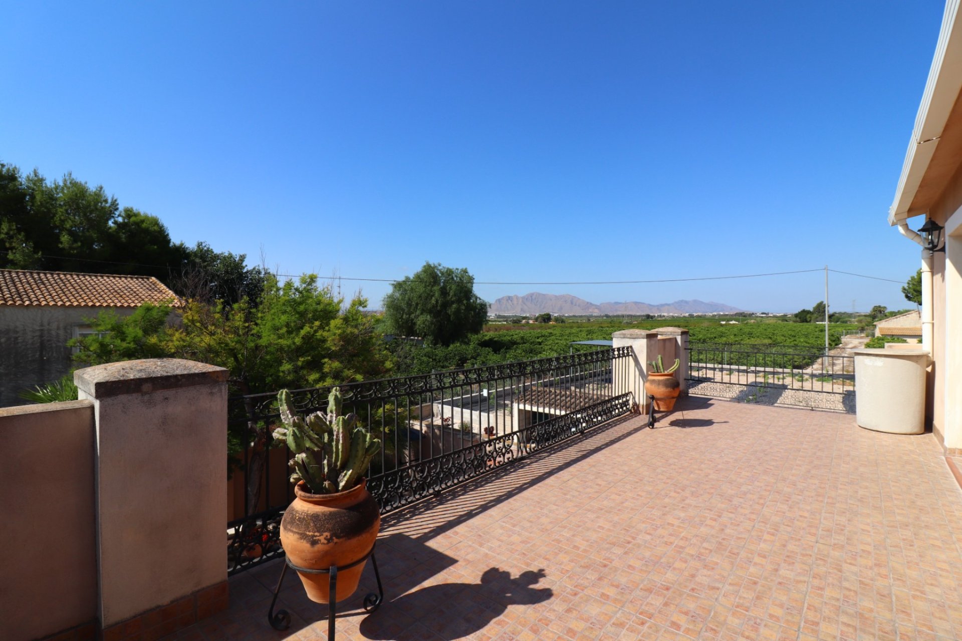 Verkoop - Finca / Country Property - Albatera - Albatera - Country